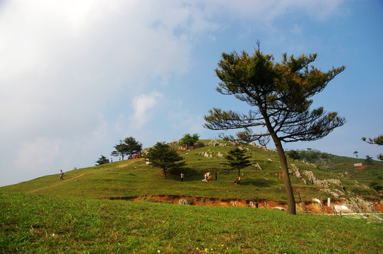 百里荒山楂树文化园