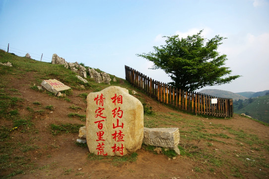 百里荒山楂树文化园