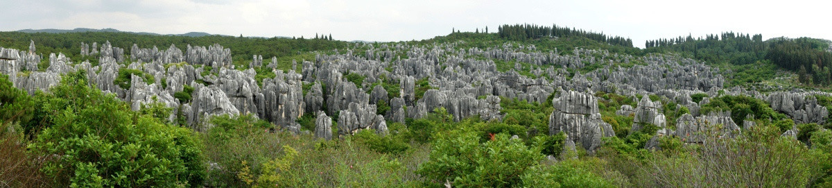 石林全景