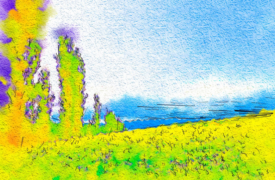田野