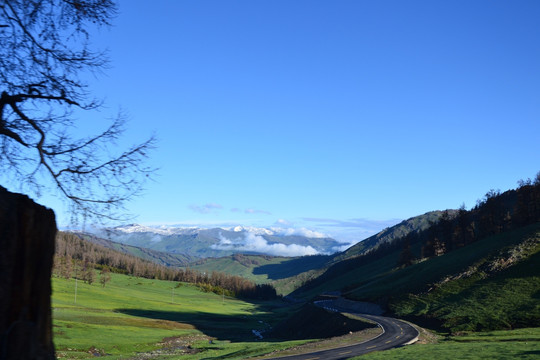 阿尔泰山公路