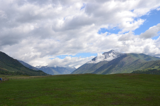 阿尔泰山草场