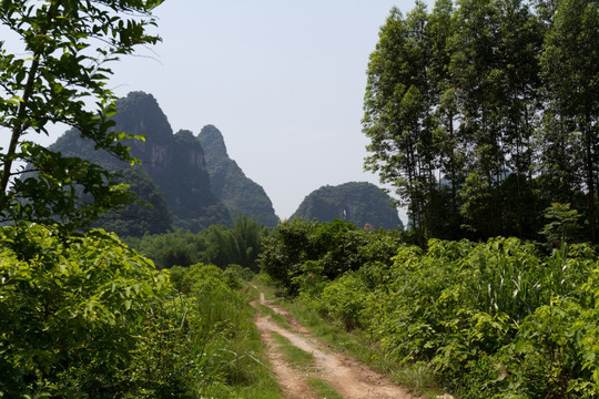 阳朔田园风光