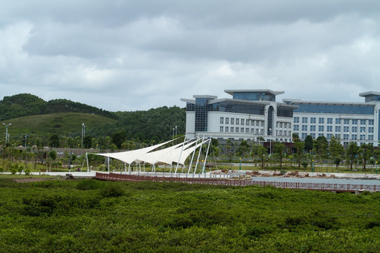 北部湾广场 红树林景观