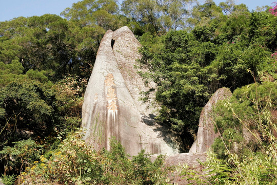 厦门万石植物园 象鼻峰