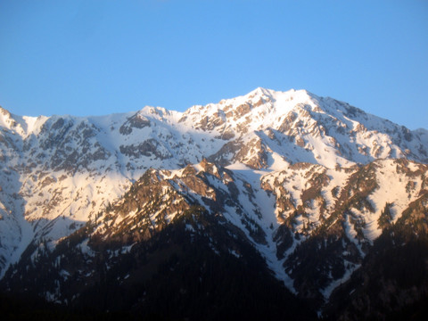 雪峰朝阳