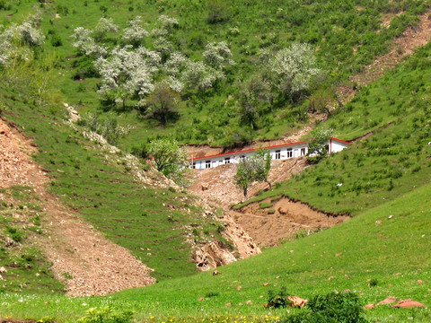 春天的小山村