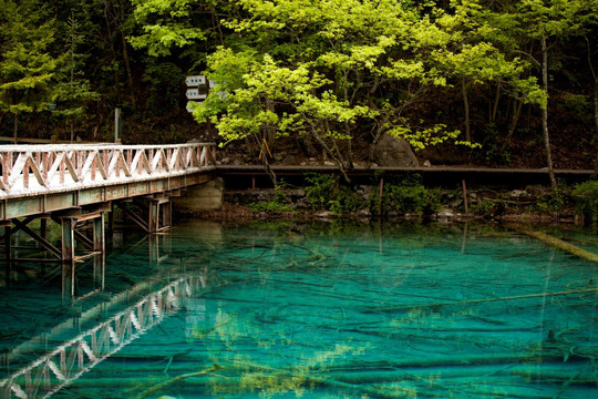 九寨沟 清澈湖水