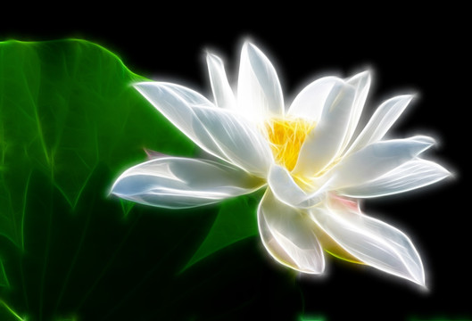 抽象畫(huà)