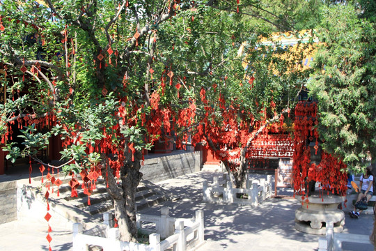 北海 永安寺