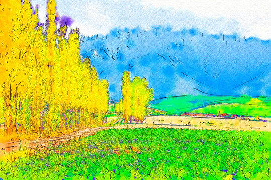 田野