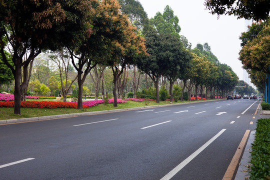 优美的道路