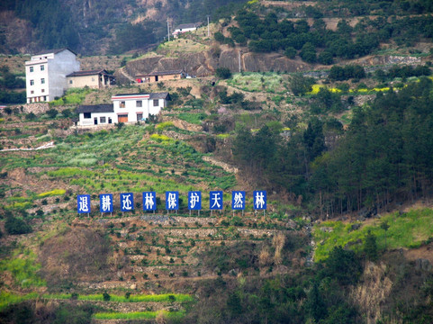 长江三峡 林地植被