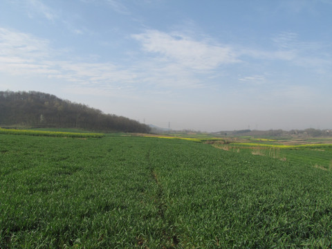 春日原野