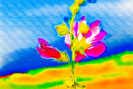 花