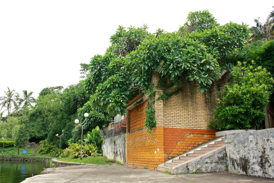 公园风景