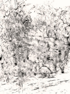 素描風格