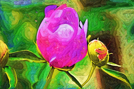 花卉 特寫(xiě)