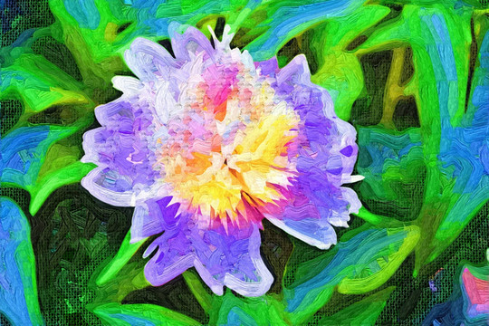 花卉 芍药 油画