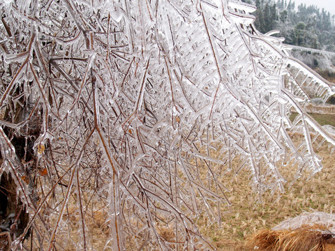 雪花  冰雪 雪条