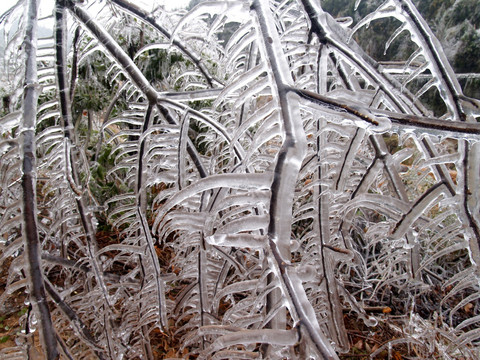 雪花