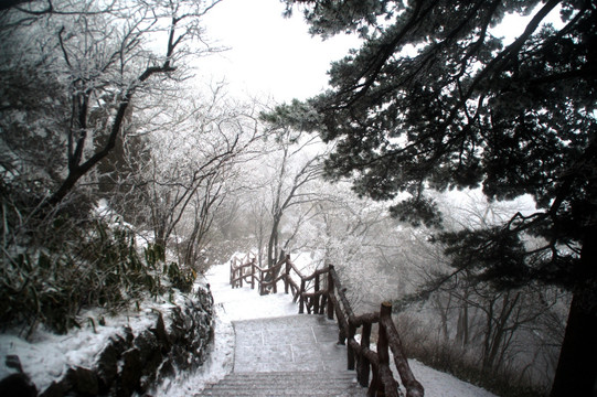 冬日黄山