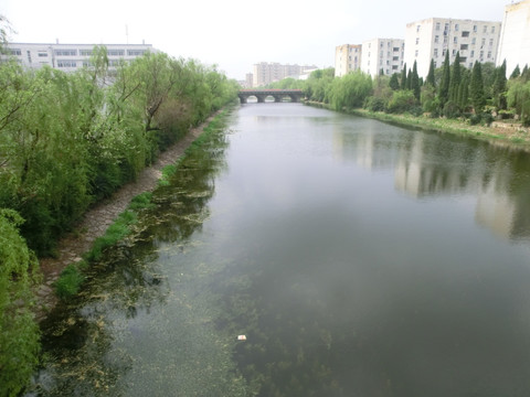 江苏师大校园玉泉河