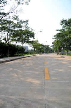 校园道路