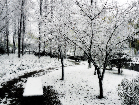 雪景