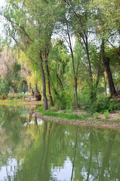 小河