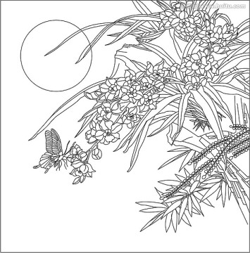 蝴蝶蘭雕刻圖