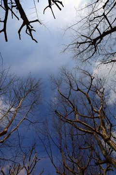 冬天的天空