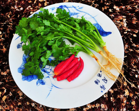 食材 香菜 芫荽