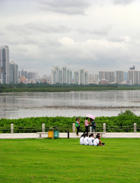 深圳红树林公园