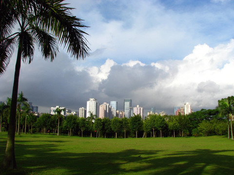 深圳城市风光