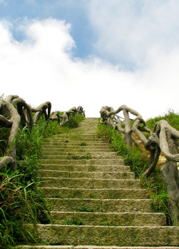 深圳梧桐山山路