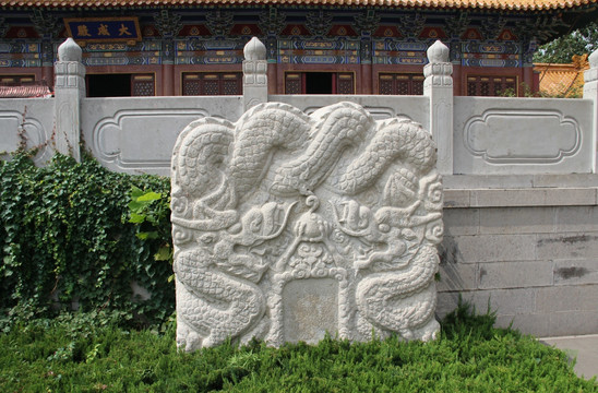 文庙龙 石雕