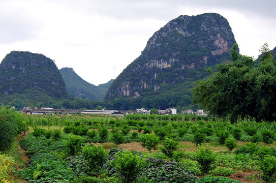 英西峰林