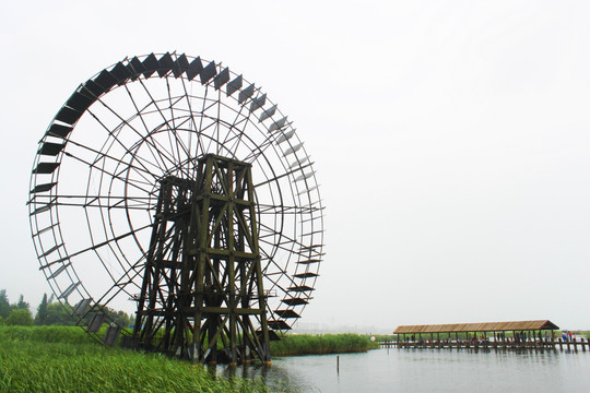 太湖湿地