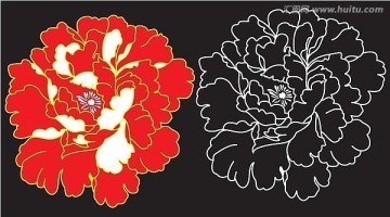 牡丹花