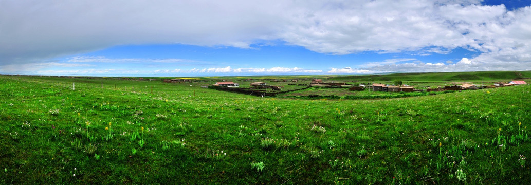 青海湖岸草原風(fēng)景