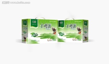 雞蛋土雞蛋綠色環(huán)保健康包裝手提禮盒