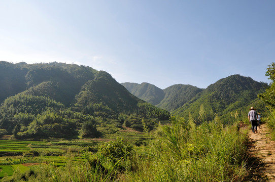 田园风光