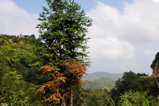 崇山峻岭