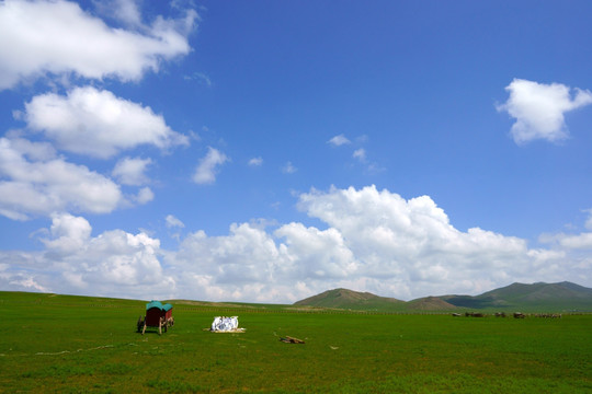 蒙古国草原 蓝天白云