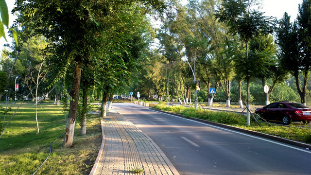 公路绿化地