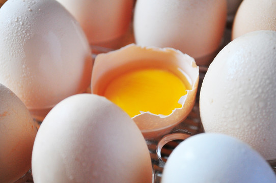 鸡蛋 一个蛋黄