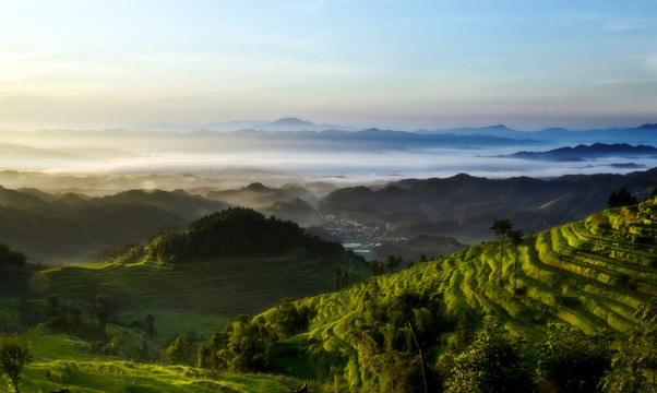 陽光洒満大地