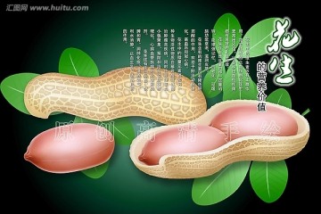 原創(chuàng)手繪高清花生