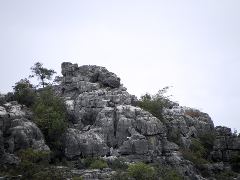 山野